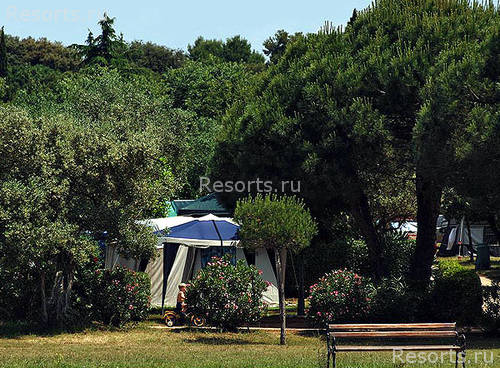 Amarin Camp 27